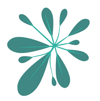 Neurasort Icon